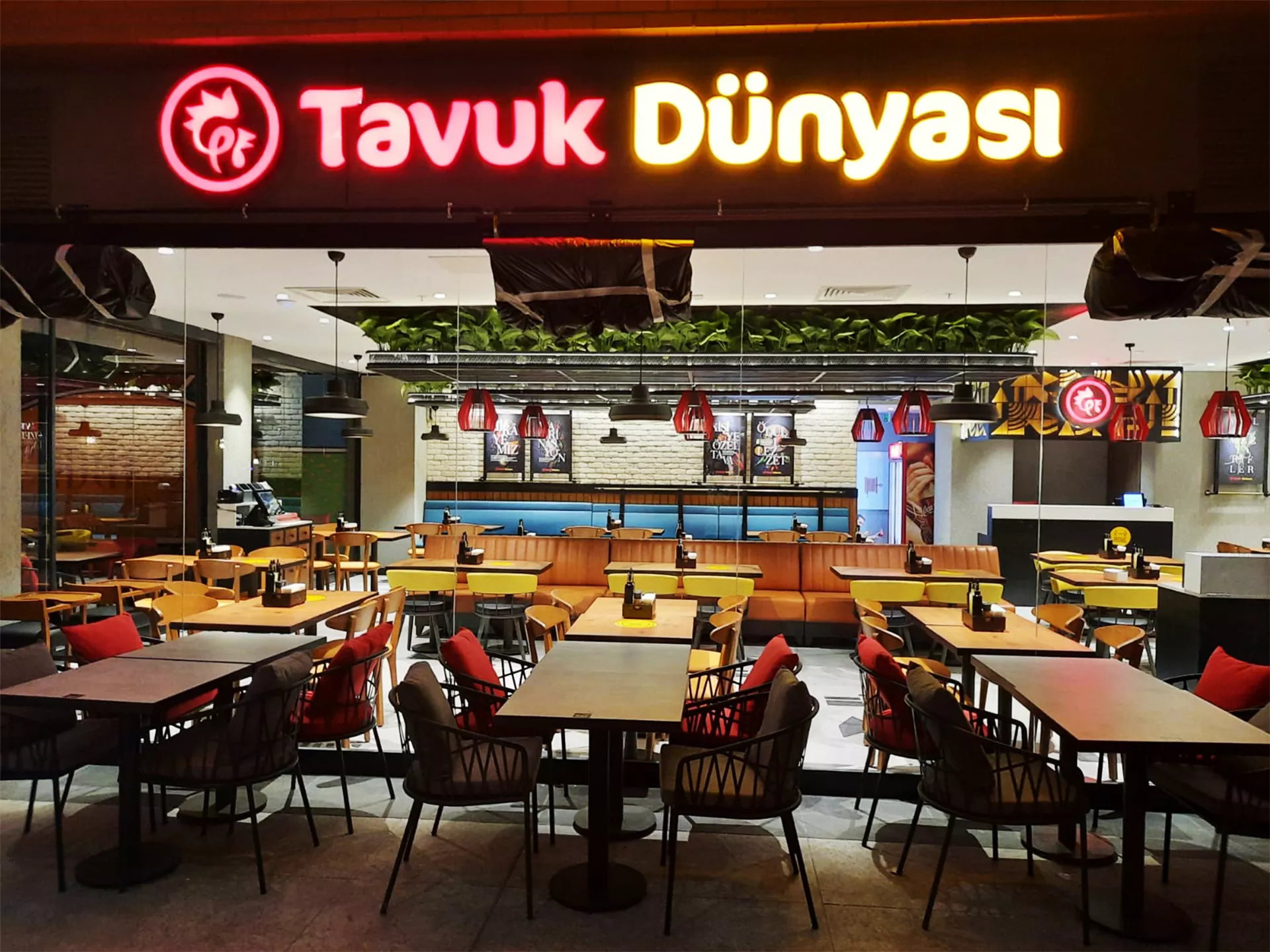 Tavuk Dünyası - 2